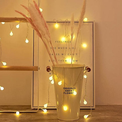 Twinkle Lights | Fairy LED String Lights with Decorative Bulbs | Versatile Indoor & Outdoor Illumination 4