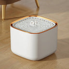 White / Gold