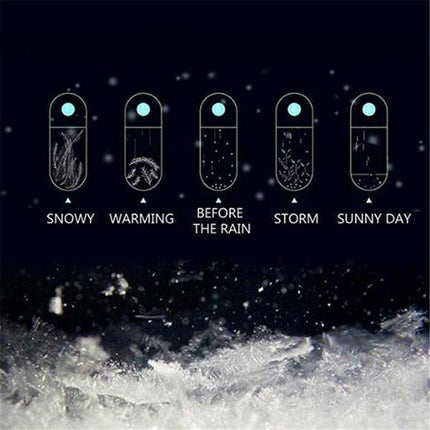 Storm Glass Weather Predictor with Wooden Base, Crystal Barometer Office Decor