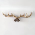 Wall Mounted Coat Rack with Antler Design, Decorative Wall Hooks for Coats