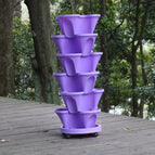 Purple (Only 5 available at this price) / Flower pot