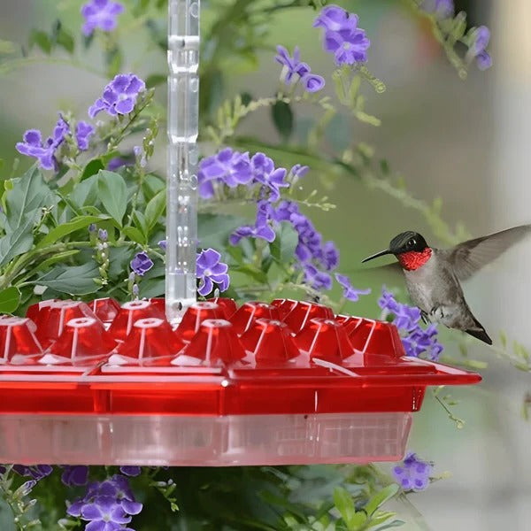 Vibrant Glass Hummingbird Feeder with Integrated Ant Moat | Easy Clean Design for Uncontaminated Nectar 0