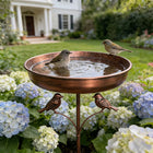 Bird Bath with Stand, Metal Bird Baths for Outdoors, Pedestal Bird Bath Bowl, Garden Decor with Height Adjustable Pole