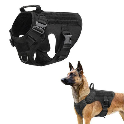 Wearclo | No-Pull Dog Harness with Adjustable Straps for Ultimate Comfort 4