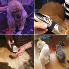 Wearclo | Professional Rechargeable Pet Clipper with Quiet Operation | Cordless Grooming Tool for Stress-Free Pet Care 0