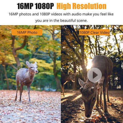Wildlife Watcher | 1080P Night Vision Game Camera with Fast Trigger Speed | Durable Outdoor Monitoring Solution 1