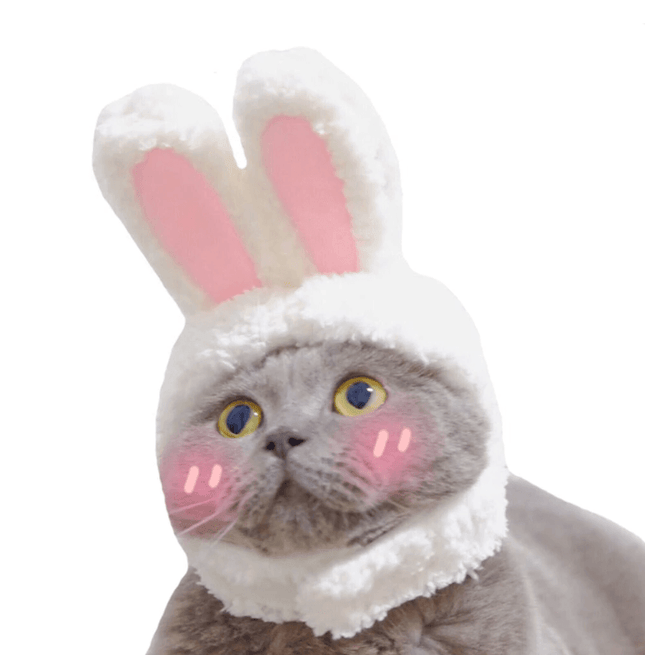 Cat Hats with Bunny Ears, Plush Cat Costume