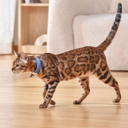 Pet Cat Toy Laser Collar with Adjustable Strap | Durable ABS Design for Endless Fun and Exercise
