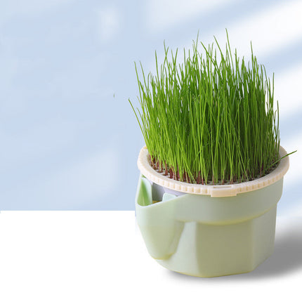 Organic Cat Grass Hydroponic Planter Box with Non-Toxic Material | Fresh Nutrition for Healthy Cats