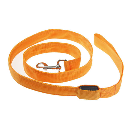 LED Luminous Dog Leash with Rechargeable Lights | Safe Night Walking for All Dog Breeds