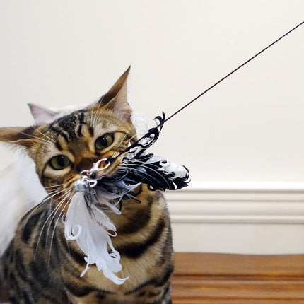 Interactive Cat Toy Stick with Bird Feather Wire | Engaging Play for Cats to Stimulate Hunting Instincts
