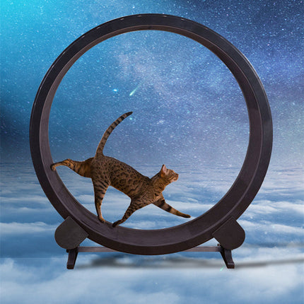Cat Running Wheel Fitness Toy with Fashion Minimalist Design | Durable Exercise Solution for Indoor Cats