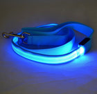 LED Luminous Dog Leash with Rechargeable Lights | Safe Night Walking for All Dog Breeds