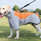 Grey orange / 2XL