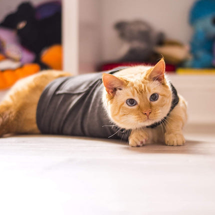 Polyester Pet Vest for Dogs and Cats in Dark Gray | Lightweight Summer Clothing for Style and Comfort