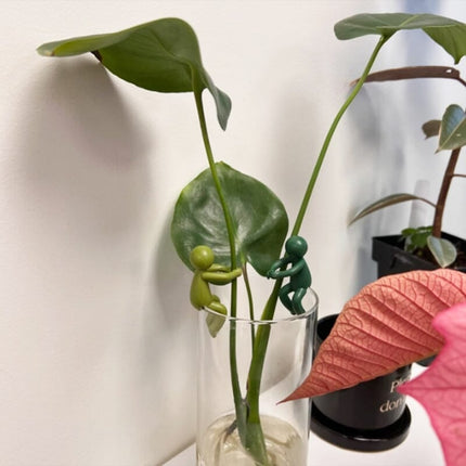 Plant Holders for Water Propagation, Gardening Gifts for Plant Lovers – image 5