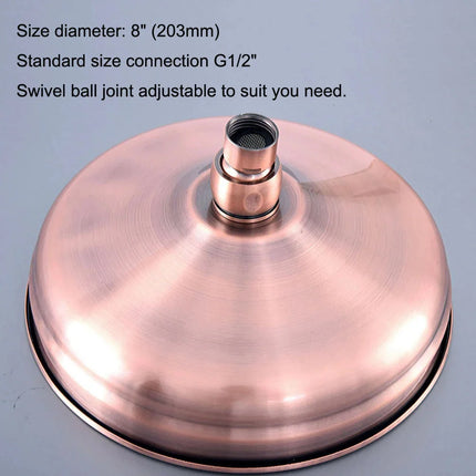 High Pressure Shower Head, Brass Shower Head Hose and Arm Parts