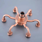 Shower Head(6)