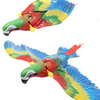 Parrot