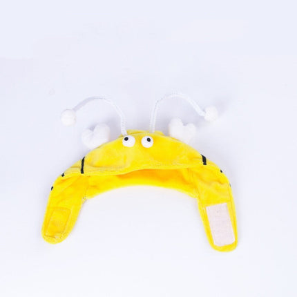 Head-Wearing Cat Toy with Feather Teaser | Adjustable Interactive Hat for Hands-Free Play