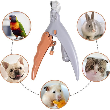 LED Light Pet Nail Trimmer with Safety Guard & Magnifying Glass | Precision Grooming for Cats and Dogs