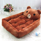 Brown bear / M