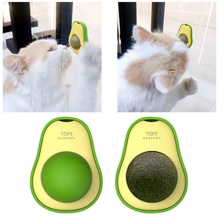 Avocado Catnip Wall Toy with 360-Degree Silvervine Ball | Engaging Teeth Cleaning Fun for Cats