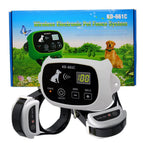 With 2 collars / UK Plug