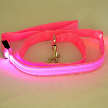 LED Luminous Dog Leash with Rechargeable Lights | Safe Night Walking for All Dog Breeds