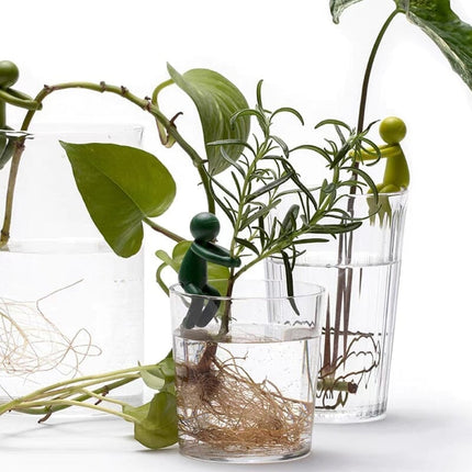 Plant Holders for Water Propagation, Plant Propagation Buddies for Vase or Glass – image 6
