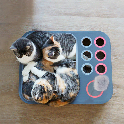 Durable Cat Scratching Board Nest with Multi-Level Design | Eco-Friendly Comfort for Play and Rest