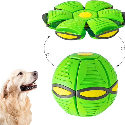 Magic Ball Toy for Dogs with Durable Soft Plastic Design | Interactive Flying Saucer for Engaging Play and Bonding