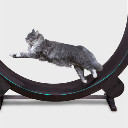Cat Running Wheel Fitness Toy with Fashion Minimalist Design | Durable Exercise Solution for Indoor Cats