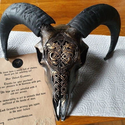 Ram Skull, Animal Skull Decoration – image 5