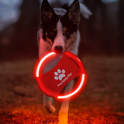 LED Dog Flying Disc with Rechargeable LED Lights | Interactive Toy for Day & Night Play