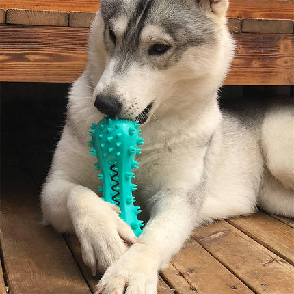 Durable Cleaning Chew Toy for Aggressive Dogs with Squeaker | Promotes Dental Health and Mental Stimulation for Small and Medium Pets
