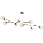 Transparent / Gold / 5 cups-L51.1