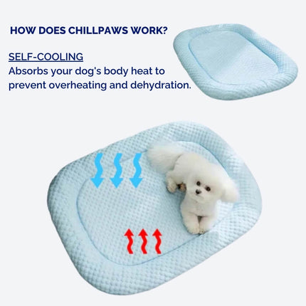 Cooling Dog Bed for Small and Medium Dogs, Washable Dog Bed with Removable Cover – image 6