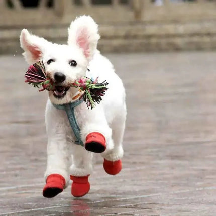 Dog Shoes for Winter, Insulated Dog Booties for Snow and Cold Weather