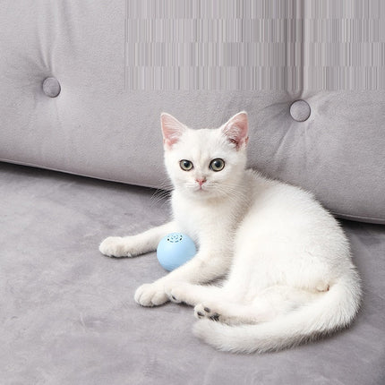 Self-Hi Pussy Cat Music Ball Toy with Interactive Sound | Engaging Playtime for Cats in Blue, Pink, Green