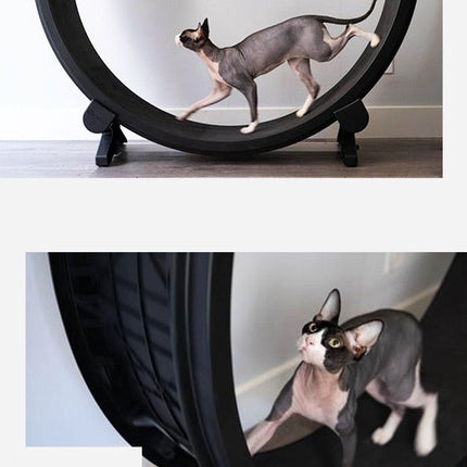 Cat Running Wheel Fitness Toy with Fashion Minimalist Design | Durable Exercise Solution for Indoor Cats