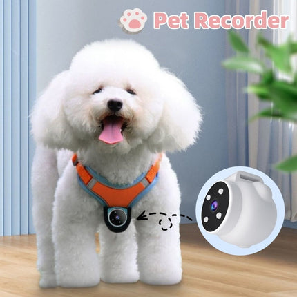 Pet Tracker Collar with 170° Ultra-Wide Camera | Real-Time GPS Monitoring for Dogs and Cats