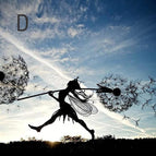 Fairy D