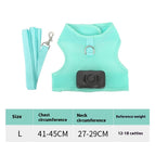 Mint Green L