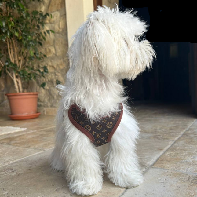 Dog Harness and Leash Set, No Pull Dog Harness with Front Clip, Adjustable Puppy Harness with Matching Dog Leash_01
