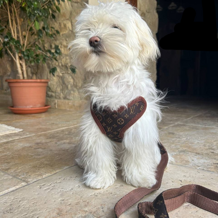 Dog Harness and Leash Set, No Pull Dog Harness with Front Clip