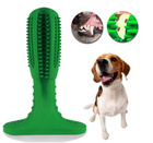 Dog Chew Toy Toothbrush, Dog Dental Care Chew Toy for Teeth Cleaning, Durable Dog Toy with Treat Space