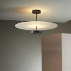 Modern Chandelier, LED Dining Room Chandelier, Round Ceiling Light Fixture with Metal Ring, Nordic Pendant Light