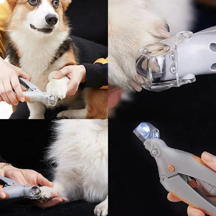 Dog Nail Clippers with Quick Sensor, Dog Claw Trimmer – image 5