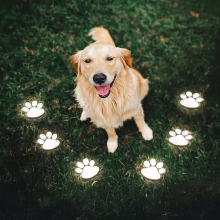 Solar-Powered Paw Print Light with Automatic Dusk Sensor | Eco-Friendly Illumination for Outdoor Spaces
